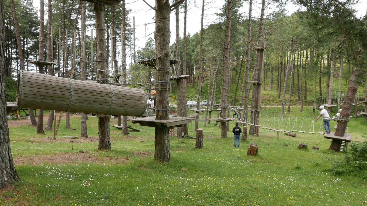 Three Guest house